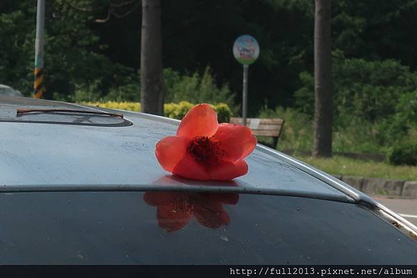 IMG_0734.JPG