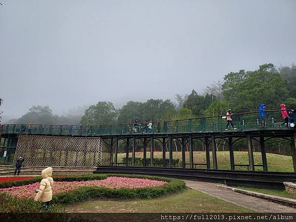 20230124_105254.jpg