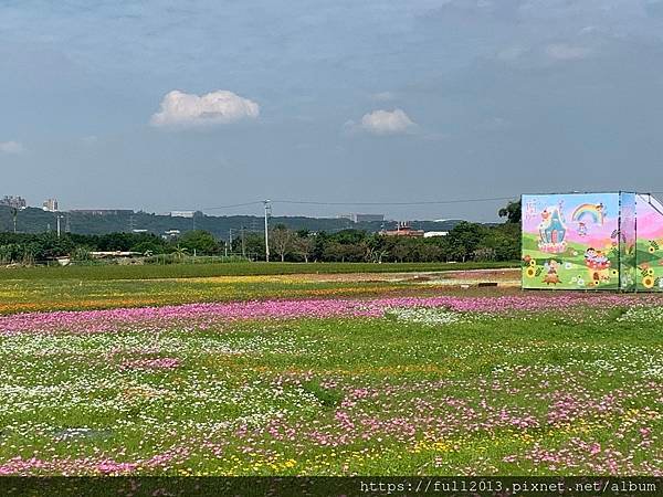 2023桃園花彩節在月眉花都開好了