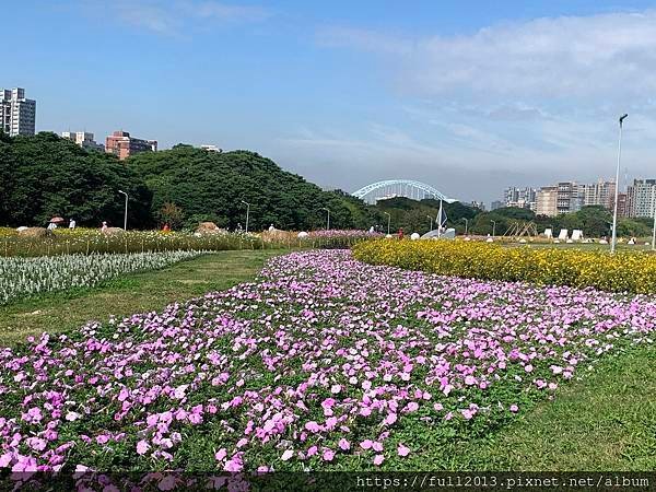 古亭河濱公園花海