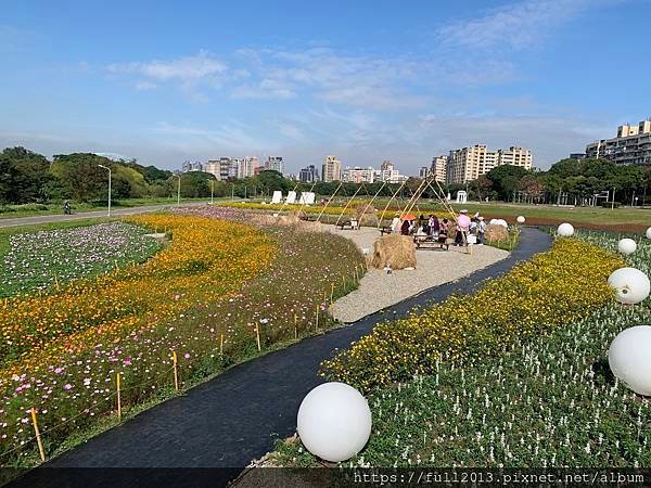 古亭河濱公園花海