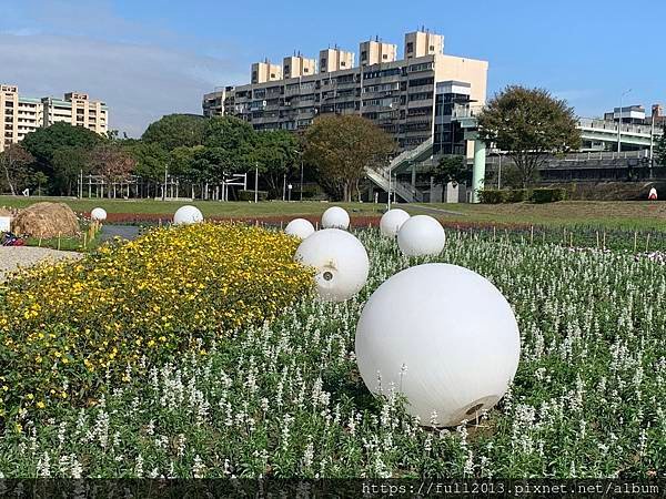 古亭河濱公園花海