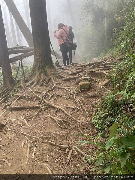 【 溪頭 】人間仙境  忘憂森林