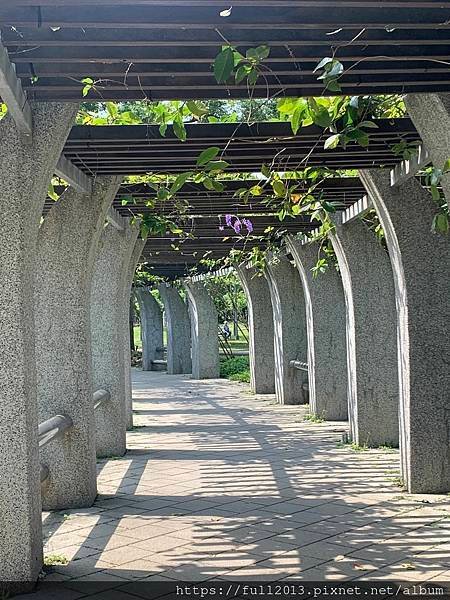 大安森林公園拍花趣