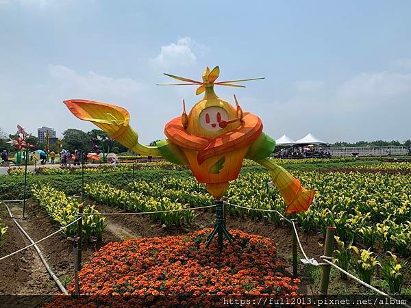 2024桃園彩色海芋季    花間遊記