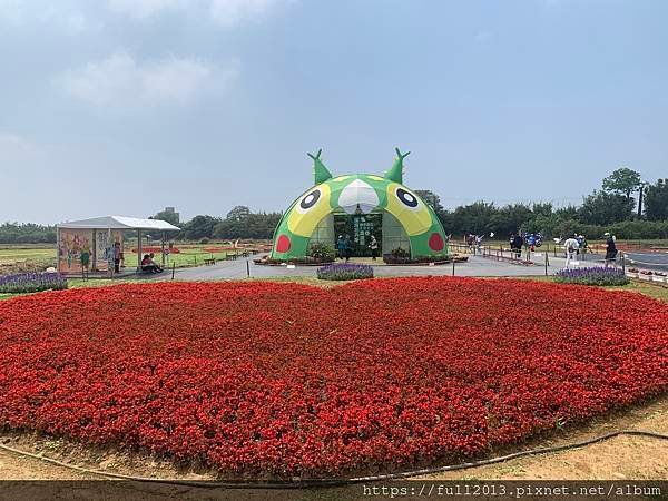 2024桃園彩色海芋季    花間遊記