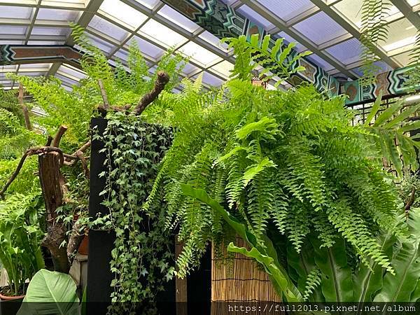 士林官邸 蕨類植物展