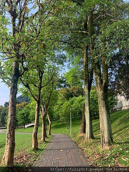 清晨大湖公園