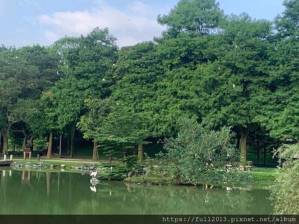 清晨大湖公園