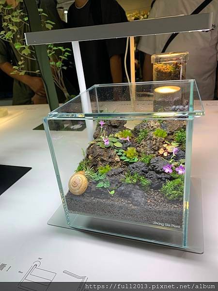 松菸文創植物展下