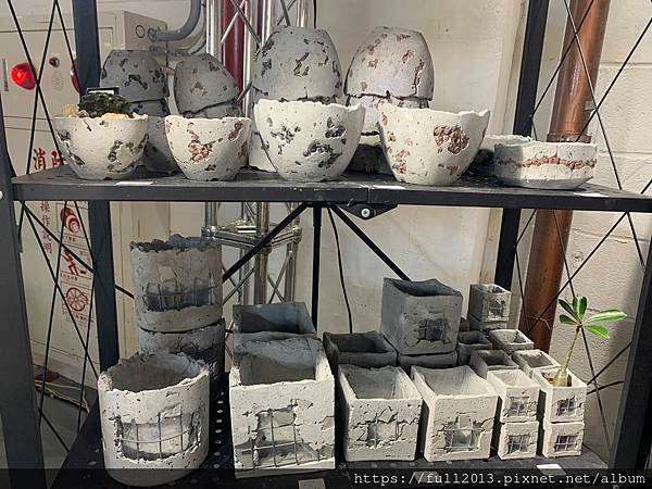 松菸文創植物展下