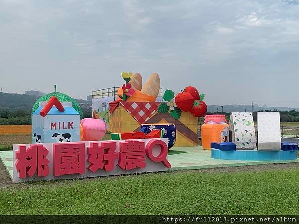 2024大溪花海