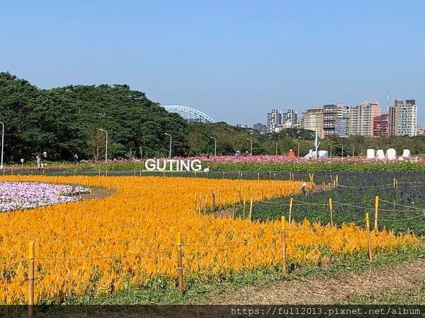 古亭河濱公園  夢幻又浪漫的走春賞花秘境