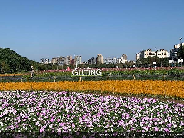 古亭河濱公園  夢幻又浪漫的走春賞花秘境