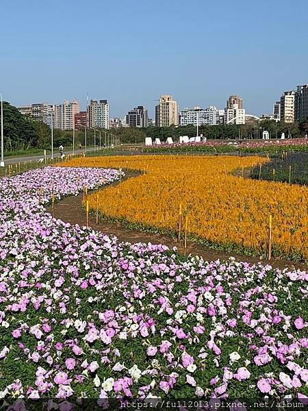 古亭河濱公園  夢幻又浪漫的走春賞花秘境