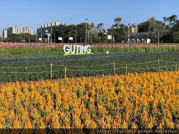 古亭河濱公園  夢幻又浪漫的走春賞花秘境