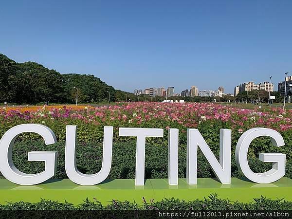 古亭河濱公園  夢幻又浪漫的走春賞花秘境