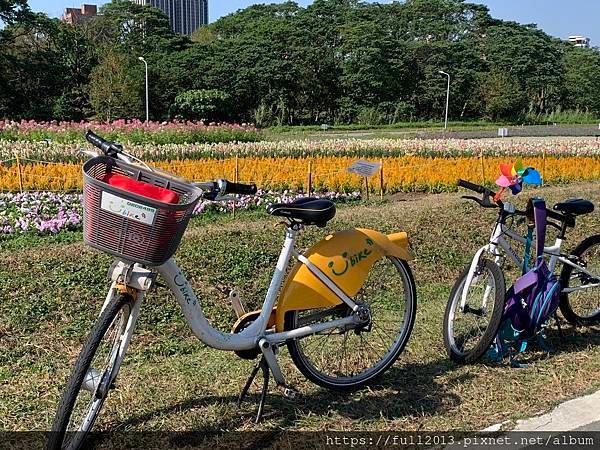 古亭河濱公園  夢幻又浪漫的走春賞花秘境