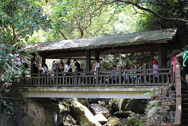 內湖碧山巖登山健走 (37).JPG