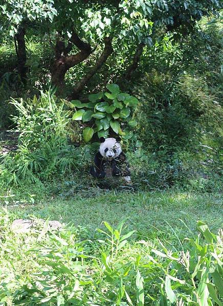 愛悅養護中心動物園伴遊 (74).JPG