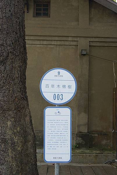 DSC01852