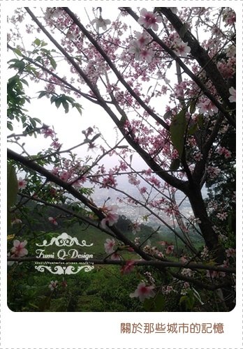 2012．03 櫻花季
