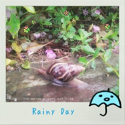 101.6.3 Rainy Day