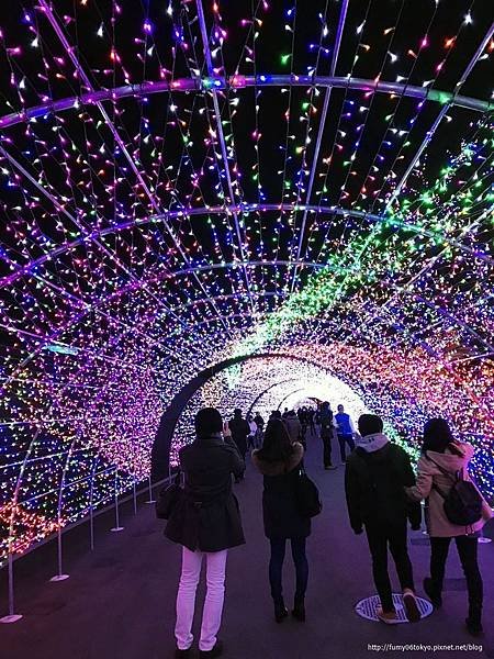 讀賣樂園