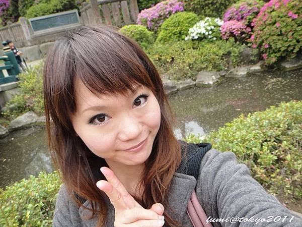 根津神社杜鵑花祭