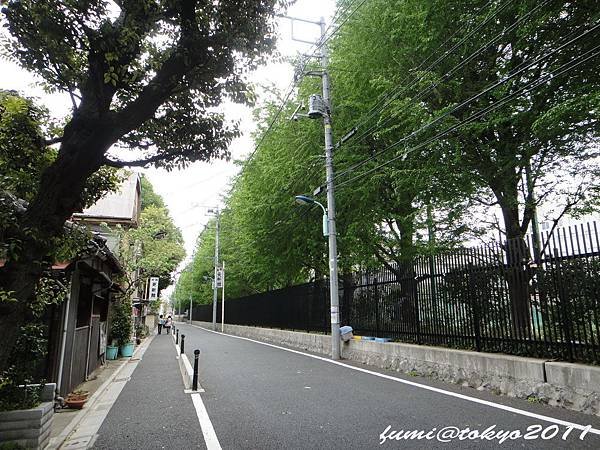 前往根津神社的道路上