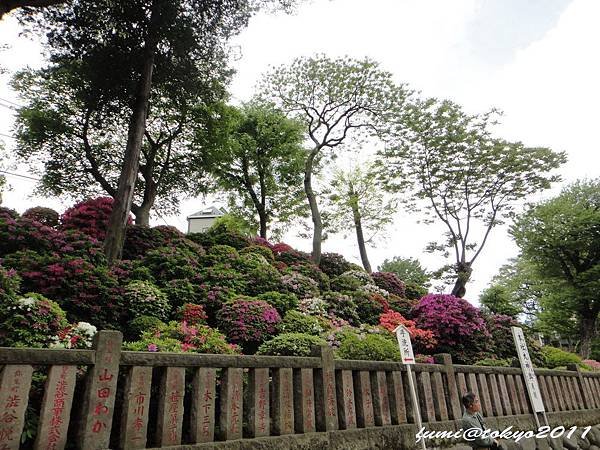 根津神社