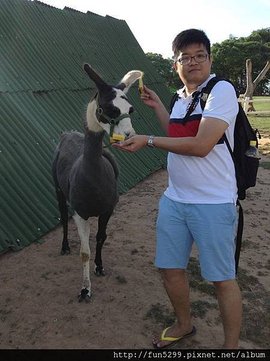 馬來西亞 沈、鄭、陳、張~四位好友在天馬牧場~