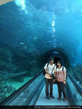 香港 張先生、林小姐夫婦，在國立海洋生物博物館~