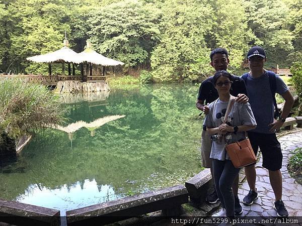 香港 鄭先生全家福~在阿里山國家公園14.jpg