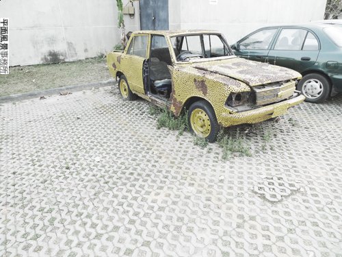 -P1090974-.jpg