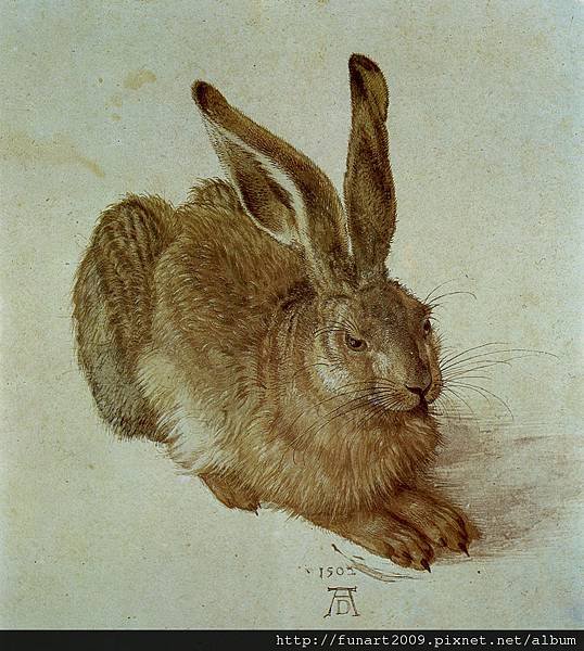 durer-1502x.jpg