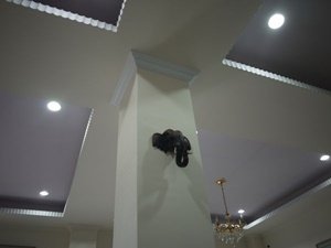 1486621858-3824188687_n.jpg