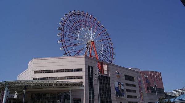 DSC00011.jpg