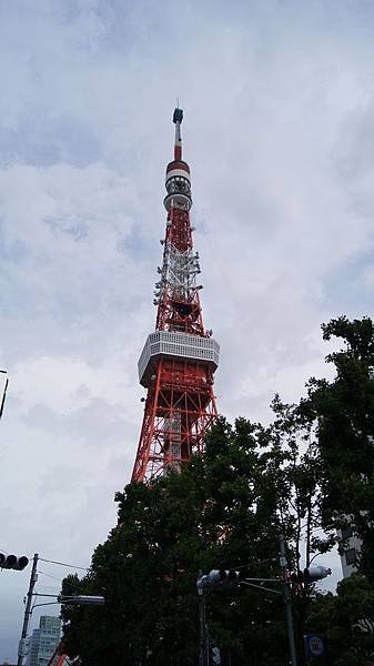 DSC00001.jpg