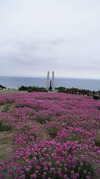 DSC01083.jpg