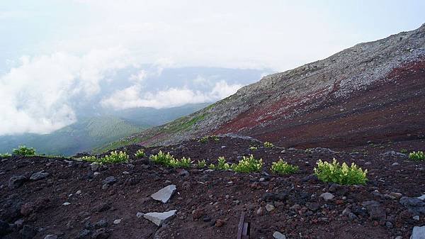 日本自助遊 [富士山登頂遊記及注意事項]