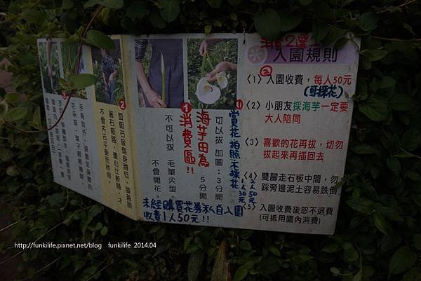 DSC01164