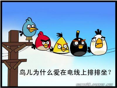 為什麼鳥兒喜歡在電線上排排坐？1