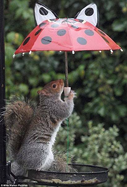 下雨天~.jpg