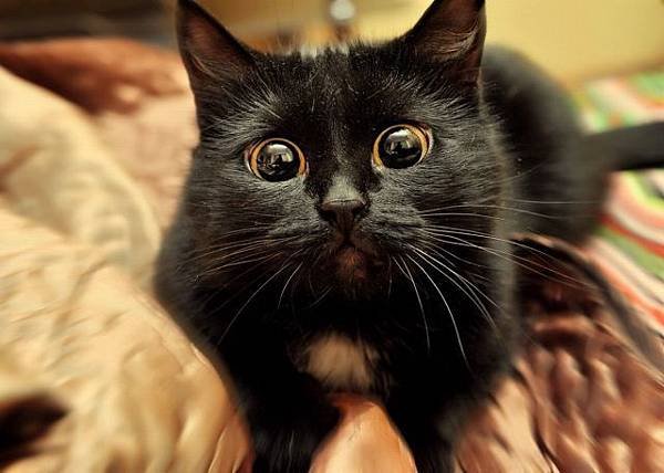 cute-awesome-animal-pics-part29-3.jpg