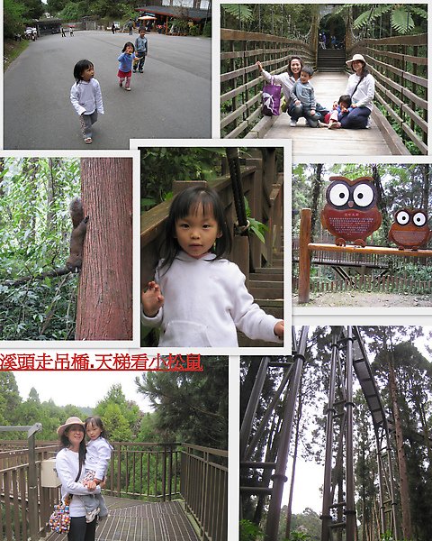 2010_03_12MIA 4 歲生日+溪頭+波斯園露營.jpg