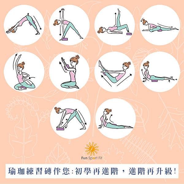 Fun Sport fit靈光一現環保瑜珈磚