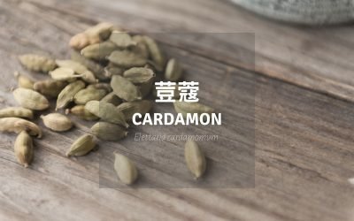 荳蔻-400x250.jpg