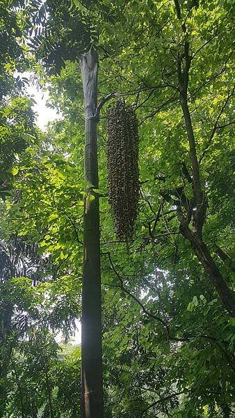 20160820_122616.jpg