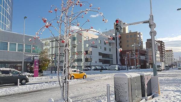 20161106_074433.jpg